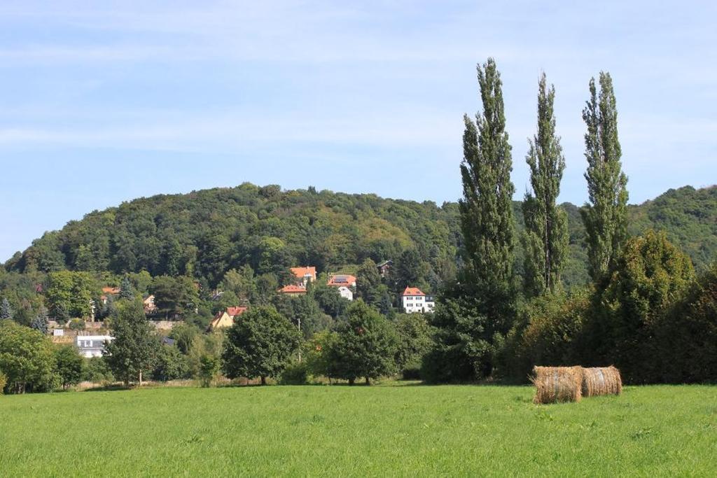 Traumhaftes Elb-Chalet Dresden Eksteriør bilde